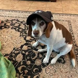 Meet your Posher, Bobby